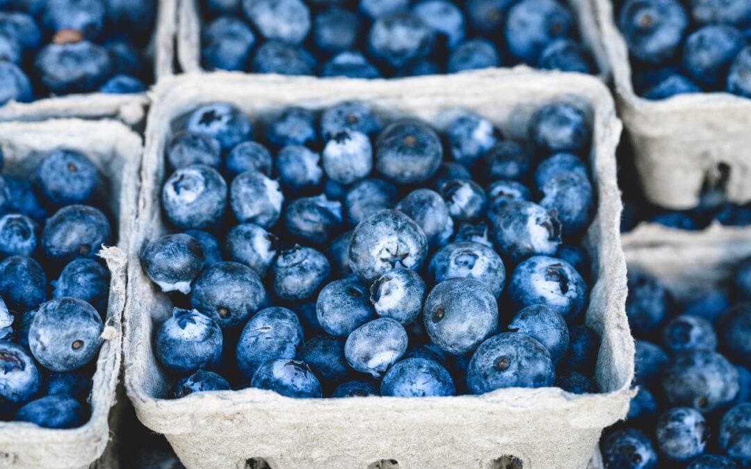 Foods That Support Brain Health